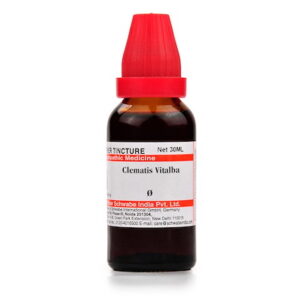 Medicines Mall - Willmar Schwabe India Clematis Vitalba (Q) (100 ML) Mother Tinctures / MT
