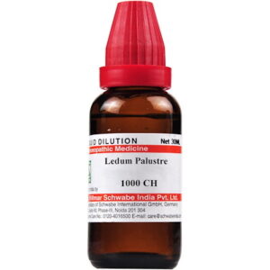 Medicines Mall - Willmar Schwabe India Ledum Palustre (1M / 1000CH) (100 ML) Dilutions