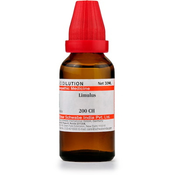 Medicines Mall - Willmar Schwabe India Limulus (200CH) (30 ML) Dilutions